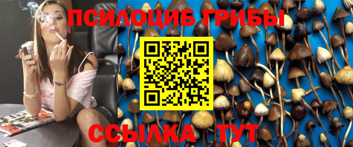 Артёмовский  Галлюциногенные грибы Psilocybine cubensis  наркотики  Вход с VPN 